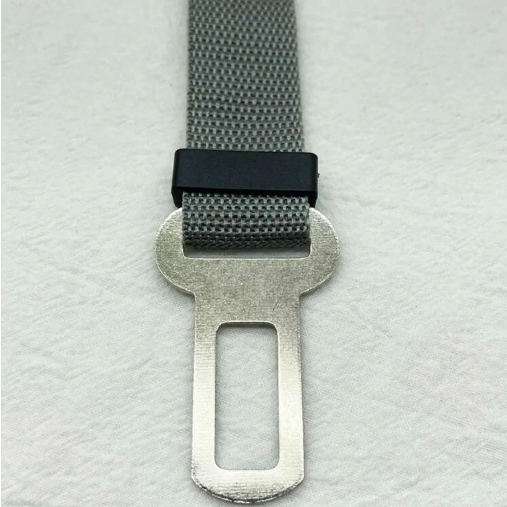 PET SEATBELT